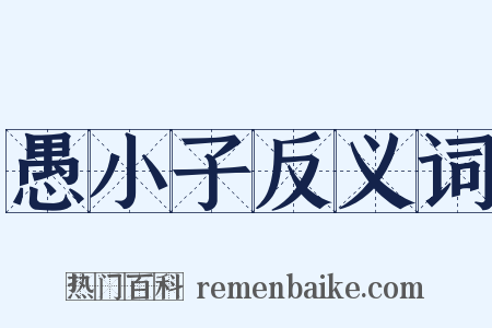 愚小子反义词是什么意思的图片